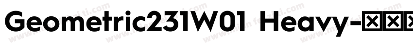 Geometric231W01 Heavy字体转换